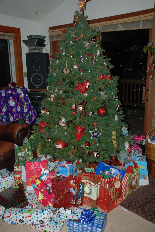 2010-12-24-057 Christmas in Colorado.jpg